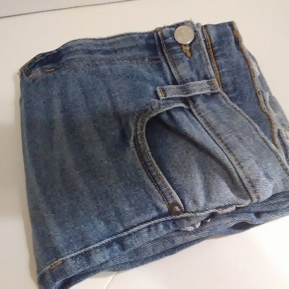 BDG Denim Jens Highly Distressed